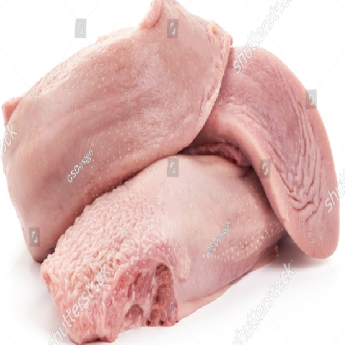 Lengua