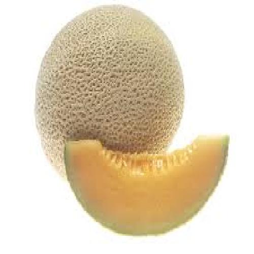 Melon